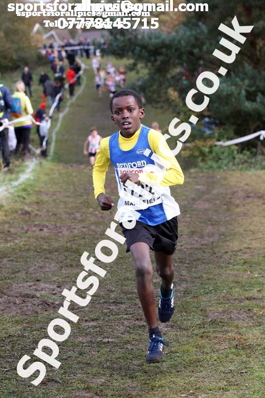 Boys under-13s National Cross Country Relay, Berry Hill Park, Mansfield. Photo:  David T. Hewitson/Sports for All Pics